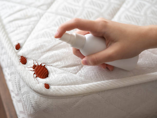 Best Affordable Pest Control Services  in Neillsville, WI